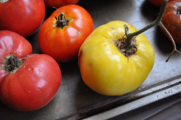 wegmans-and-rain-and-soup-040