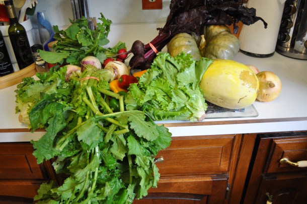 csa-and-more-interesting-veggies-015
