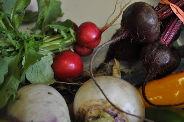 csa-and-more-interesting-veggies-022