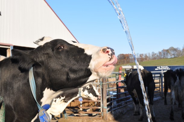 csa-big-cork-and-fall-foliage-036